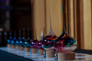 Premier's Awards trophies on a table